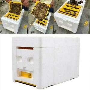 Pollination Beekeeping King Box Hive Harvest Bee Box Equipment Foam Frame  Prof