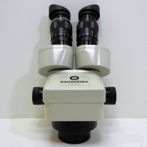 EUROMEX ZE.1626 Stereo Zoom Microscope SWF20X 60° Tube Finest Quality HOLLAND #7