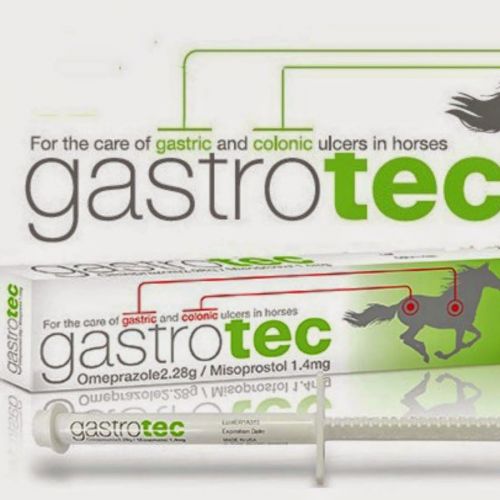 Gastrotec Equine Omeprazole/ Misoprostol