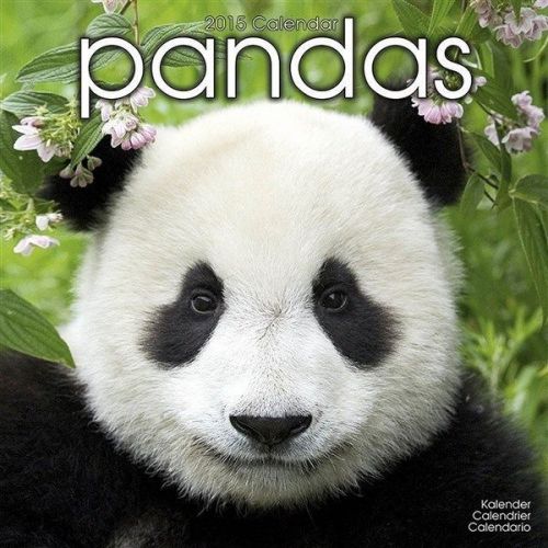 NEW 2015 Pandas Wall Calendar by Avonside- Free Priority Shipping!