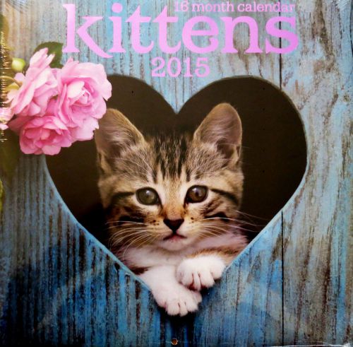 New 2015 Kittens Wall Calendar With Holidays 16 Month 12x12 Cute Cat Pictures