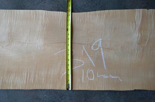FIGURED MAPLE, 108 SF LOT319