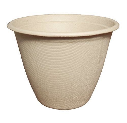 World centric bb-sc-u16 compostable unbleached plant fiber bowls, 16 oz. (pack for sale