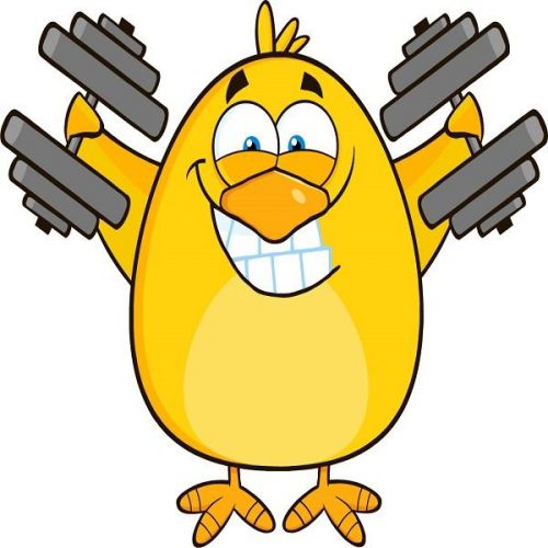 30 Custom Yellow Chick Workout Personalized Address Labels
