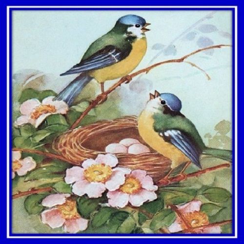 30 Custom Spring Bird Art Personalized Address Labels