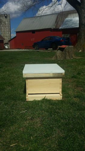 Complete hive (8 frame) 1 deep  complete ready for bees