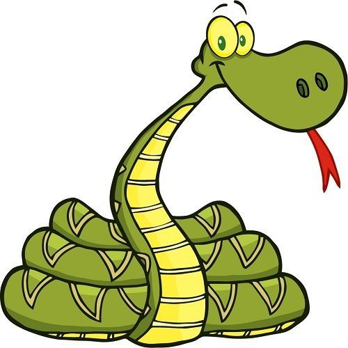 30 Custom Snake Personalized Address Labels