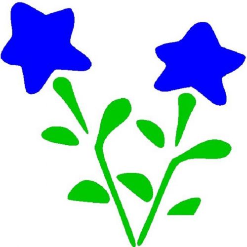 30 Custom Blue Star Flower Personalized Address Labels