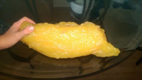 Five pound fat replica: Awesome for Health Educators!!!