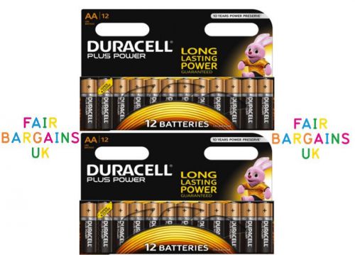 24 x Duracell AA Plus Power Duralock 1.5V Alkaline Batteries Expiry 2025 MN1500