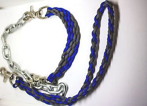 goat show collar and lead electric blue and charcoal grey