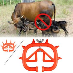 Cow Cattle Calving Weaning Feeding Calf Weaner Nose Plastic Ring easy to wean
