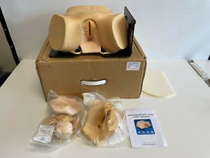 B3: Limbs &amp; Things Clinical Female Pelvic Trainer Mk 2 Part No. 60805