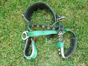 NEW Buckingham Arborist Climbing Harness Double D-rings Size Small