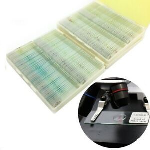 Biological Microscope Prepared Slide Glass Specimen Plastic Storage Box12 50 100