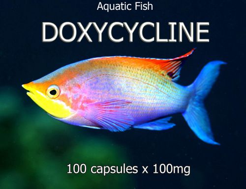 100 caps x 100mg DOXYCYCLINE AQUATIC PREMIUM GRADE AQUARIUM ANTIBIOTIC FISH