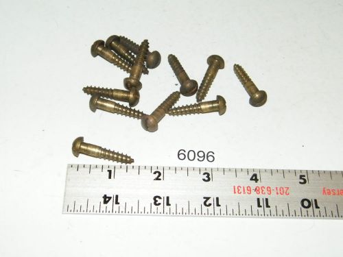 #14 x 1 1/8 slotted round head solid brass wood screws vintage qty 12 for sale