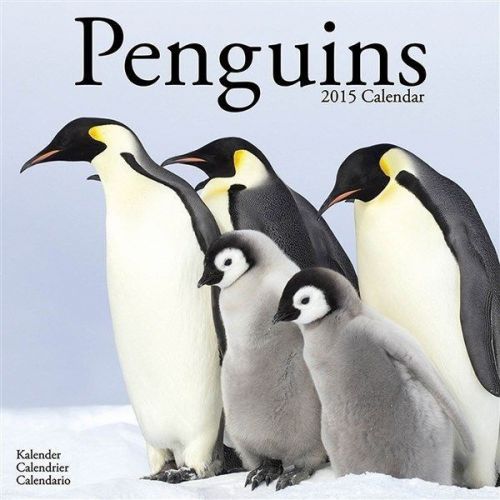 NEW 2015 Penguins Wall Calendar by Avonside- Free Priority Shipping!