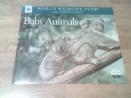 World Wildlife Fund 2015 16-month Baby Animals Wall Calendar-Koala Bears-New