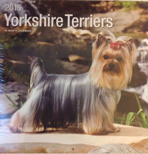 18-Month 2015 YORKSHIRE TERRIERS 12x12 Wall Calendar NEW