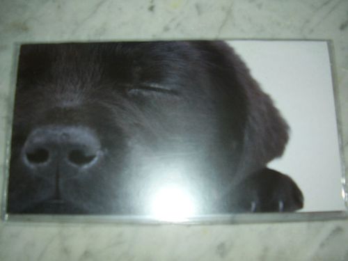 2015 - 2016 Two year pocket calendar - 24 months - Black Lab Puppy cover design