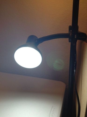 Advantus Clip-on Lamp - 60 W Fluorescent, Incandescent Bulb - Black D3
