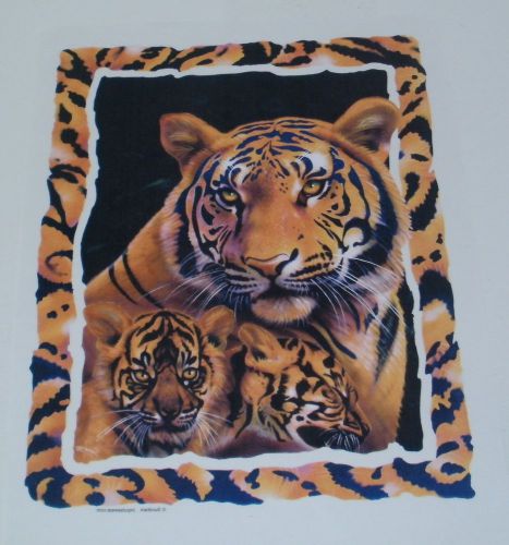 TIGER 2 CUBS IN STRIPE FRAME IRON ON PRINT T-SHIRT HEAT TRANSFER NEW