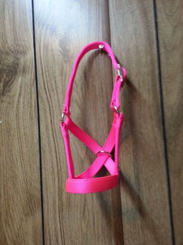 Calf (cow) halter double ply usa made choice of color for sale