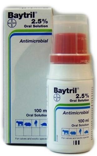 Baytril 2,5% 100ml ANTIMICROBIAL ORAL SOLUTION cow rabbit bird tortaise VETERINA