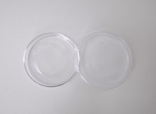 Petri Dish Clear Glass Culture Tissue 100mm (Set of 10) LAB NEW