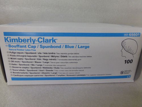 500 Kimberly Clark BLUE LARGE Bouffant Cap 69801