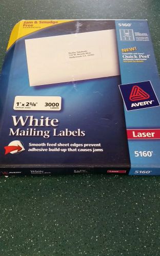 Box of Avery White Mailing Labels 1&#034; x 2 5/8&#034;, 3000 Labels #5160 NEW