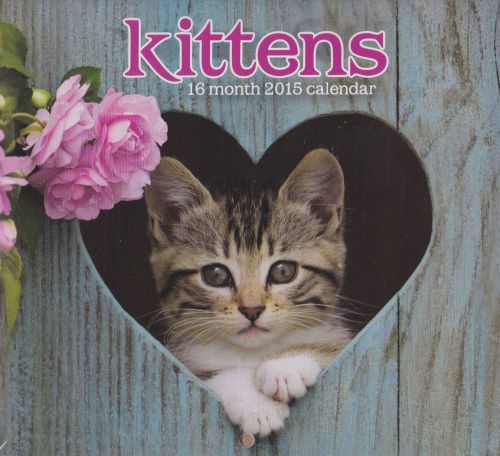 2015 16 Month Mini Wall Calendar (Kittens)