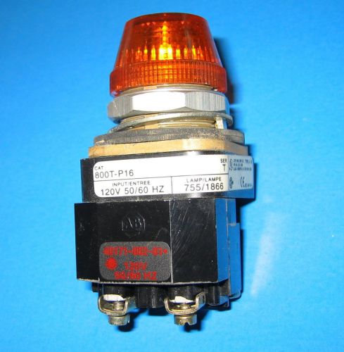 ALLEN-BRADLEY 800T- PT16 amber  light 120V