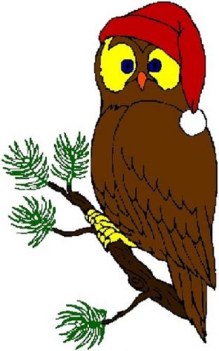 30 Custom Christmas Owl Personalized Address Labels