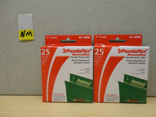 2 Pack OF 25  Pendaflex Reversaflex Plastic File Tabs &amp; Inserts Green 2&#034;  YNM