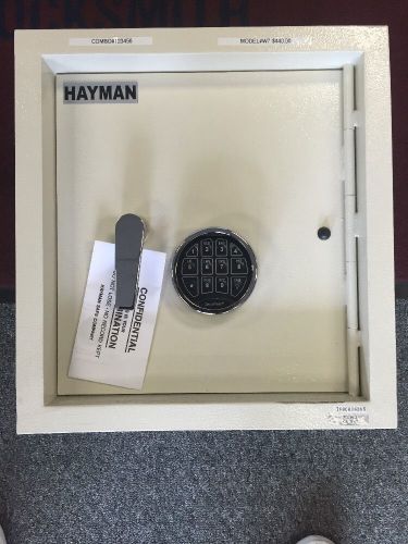 Brand New HAYMAN Wall safe