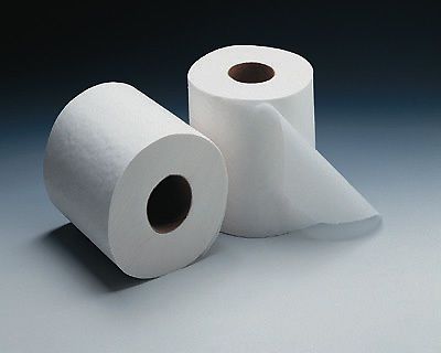 Bathroom Tissue (2-Ply) - 500 Sheets per Roll  (96 Rolls)