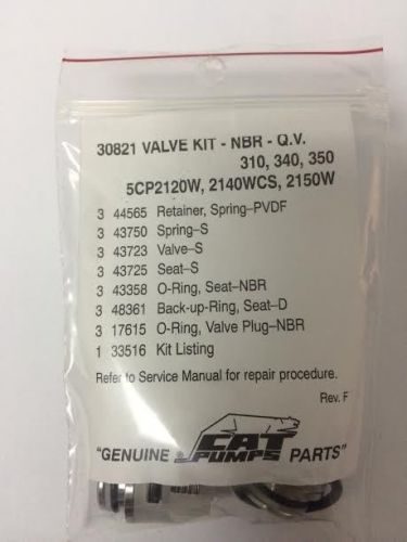 Cat Pump 30821 Valve Kit-NBR