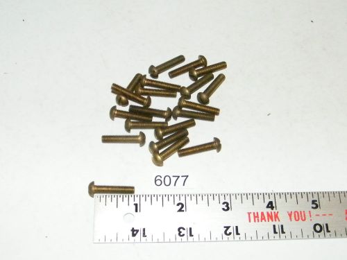 10-32 x 7/8 slotted solid brass round head machine screws qty 20 for sale