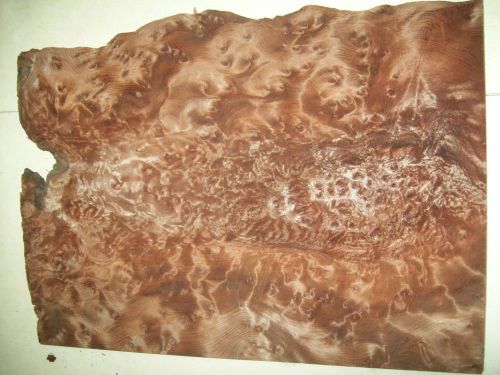 redwood burl veneer 10 @ 10 x 14 [9378