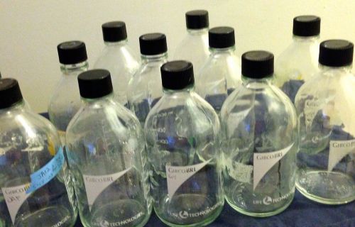 Lot of gibcobrl glassware lab bottles 500 ml reagent media storage w/ screw top for sale