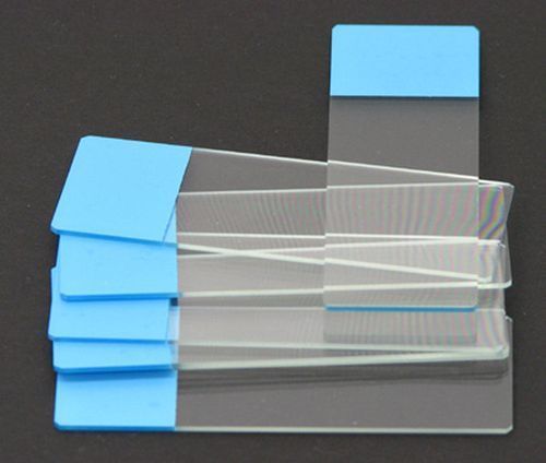 Colored End Frosted Slides Blue pk of 72 (B145-66)