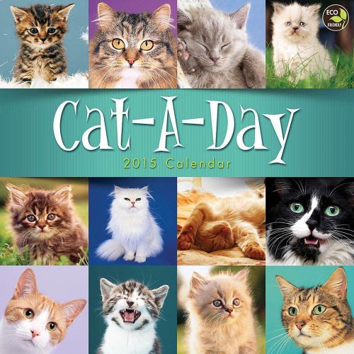 2015 CAT A DAY Wall Calendar 12X12 NEW &amp; SEALED Kittens Animals