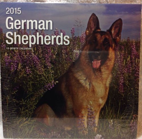 18-Month 2015 GERMAN SHEPHERDS 12x12 Wall Calendar