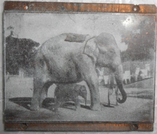 India Vintage Printers Copper Block Elephant Base Removed From Back s993
