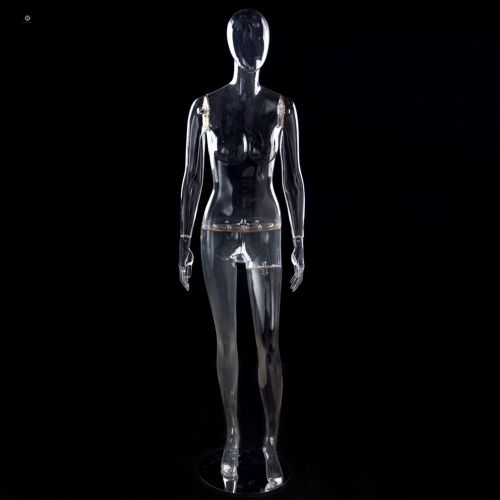 Transparent Female Stand Plastic Model~QianWan Displays