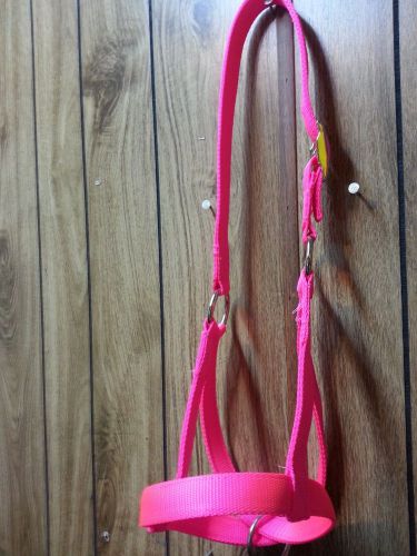 Cow halter double ply usa made choice of colors for sale
