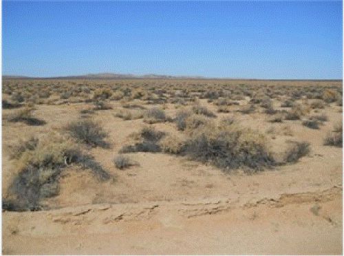 20 Acres land CA