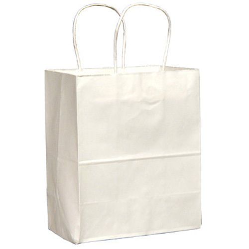 Bag Company Handled Shopping Bags, 8w x 4 1/2d x 10 1/4h, White